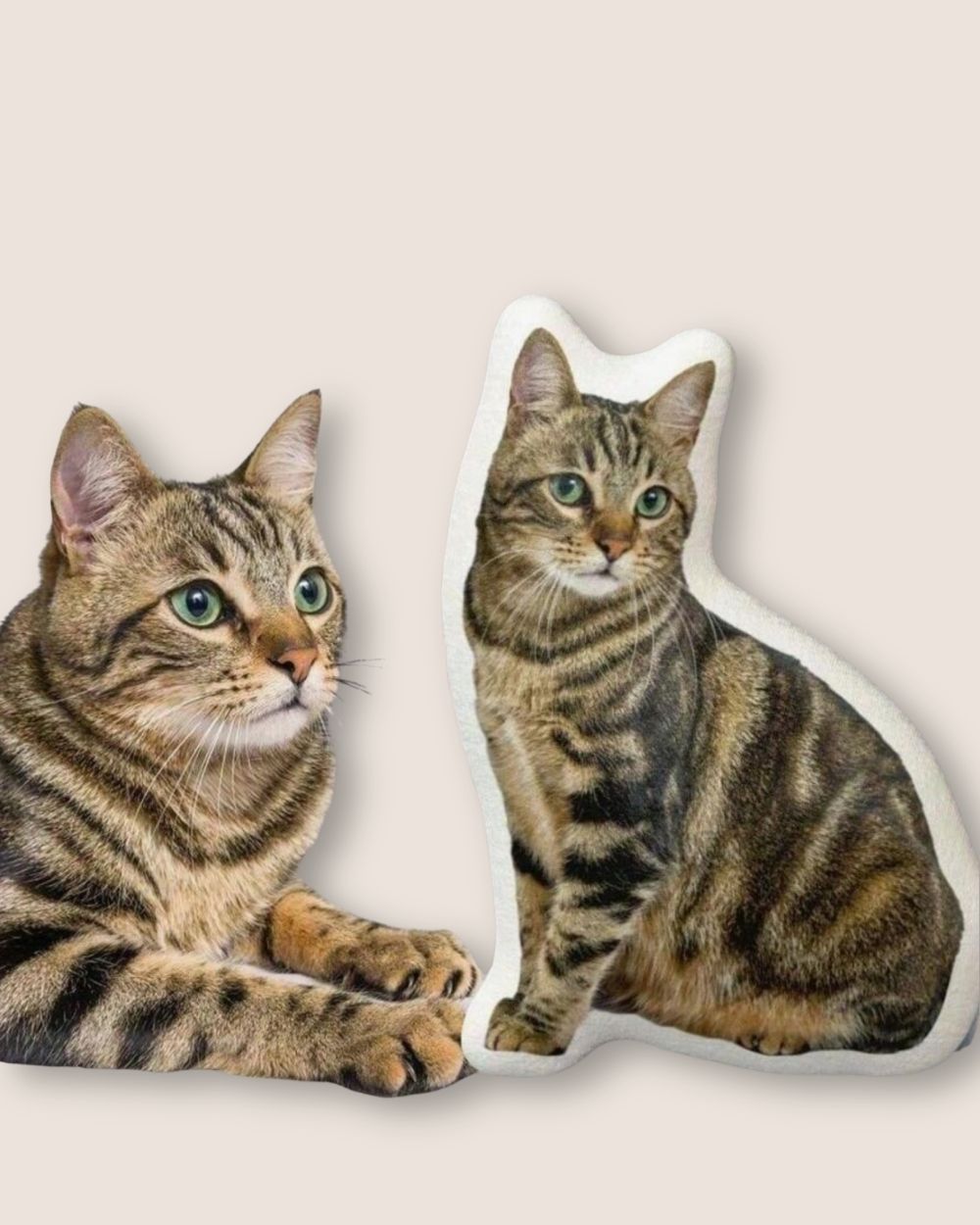 Poduszka z Twoim pupilem